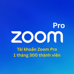 Tài khoản Zoom Pro 300 thành viên – họp trực tuyến quy mô lớn, ổn định.
