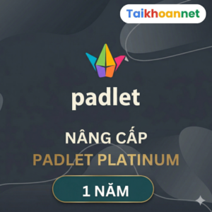 Nâng cấp Padlet Platium 1 năm giá rẻ