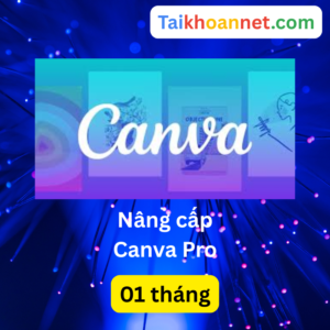 Mua Canva Pro 1 Tháng Giá Rẻ